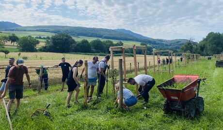 Mitarbeiter von PLAN4 auf der Weide beim arbeiten